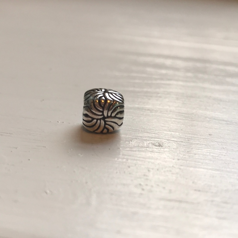 Pandora charm